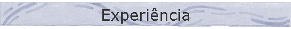 Experincia